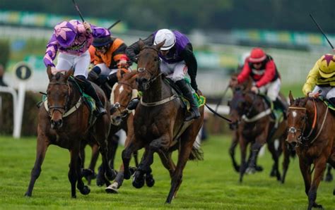 5:00pm Sandown Racecard & Odds .